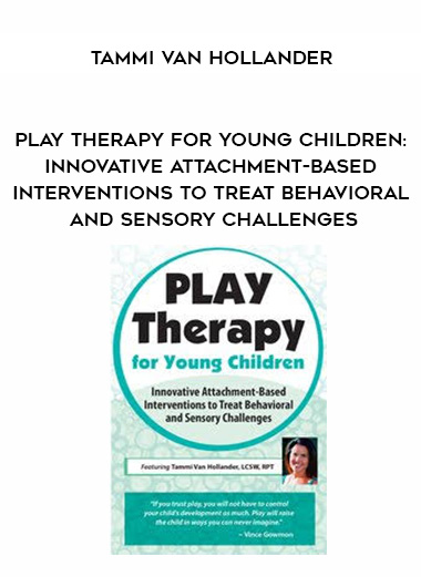 Play Therapy for Young Children: Innovative Attachment-Based Interventions to Treat Behavioral and Sensory Challenges – Tammi Van Hollander