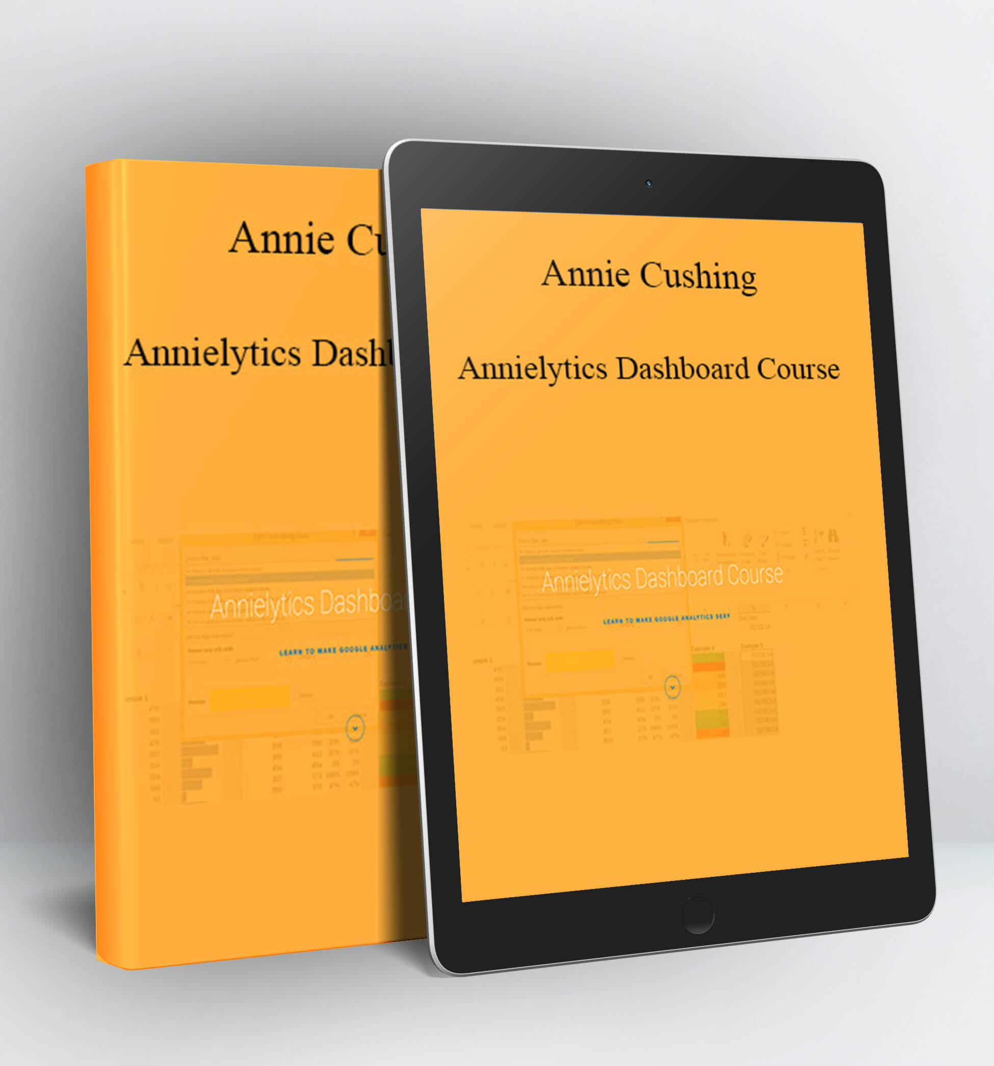 Annielytics Dashboard Course - Annie Cushing