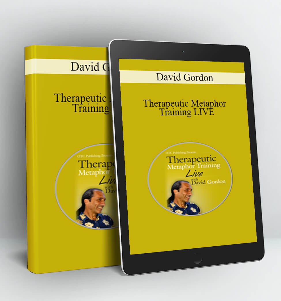 Therapeutic Metaphor Training LIVE - David Gordon