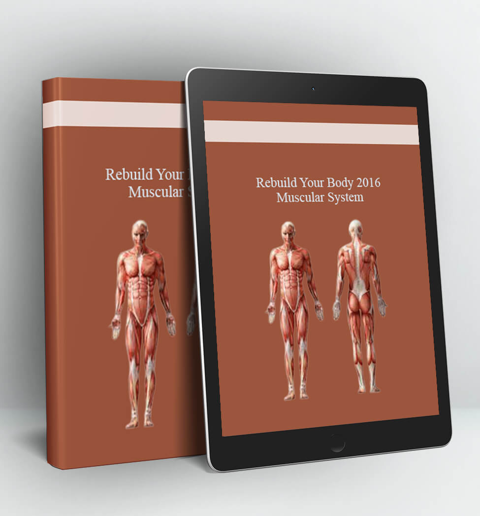 Muscular System - Rebuild Your Body 2016