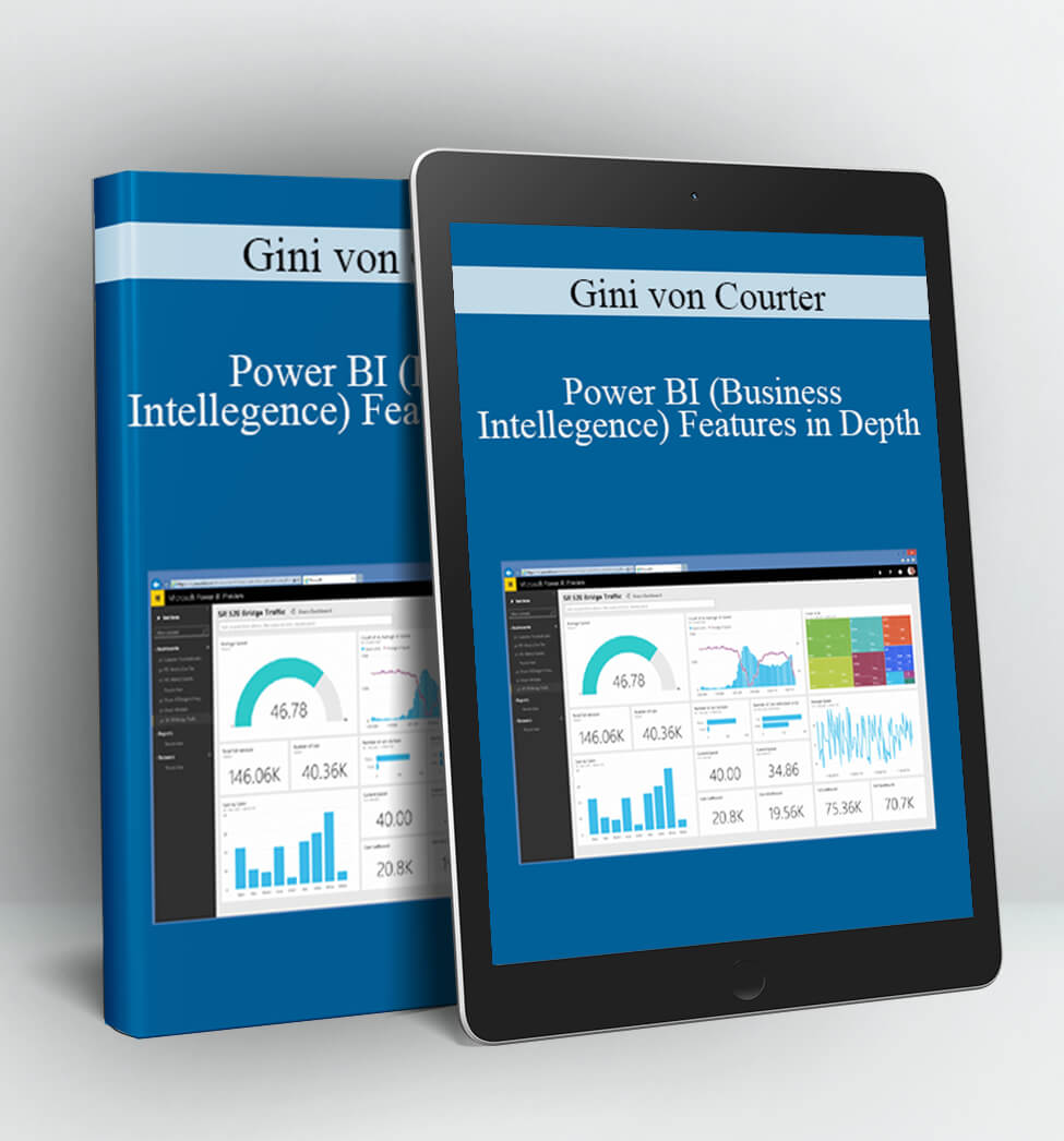 Power BI (Business Intellegence) Features in Depth - Gini von Courter