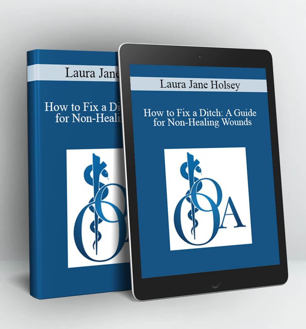 How to Fix a Ditch - Laura Jane Holsey